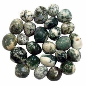 Tree Agate Tumbled Stones