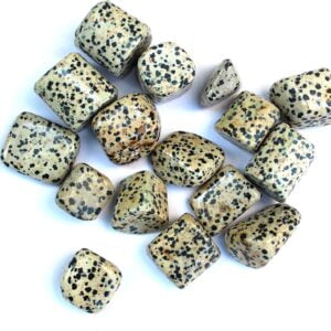 Dalmatian Jasper Tumbled Healing Stones