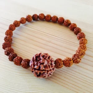 Sacred Harmony Rudraksha Bracelet