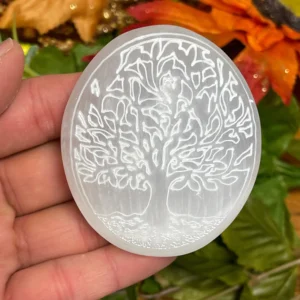 Selenite Engraved Palm Stone with Tree of Life Symbol -Engraved Selenite Palm Stones