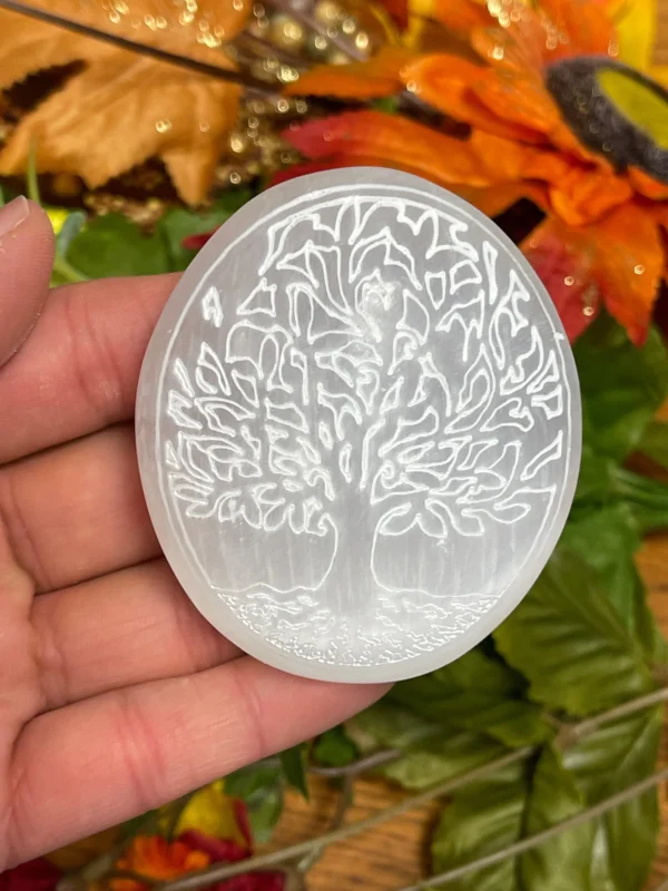 Selenite Engraved Palm Stone with Tree of Life Symbol -Engraved Selenite Palm Stones