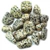 Wholesale Dalmatian Jasper Gemstone Tumble Stones