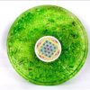 Wholesale Green Dyed Flower of Life Orgonite Coaster