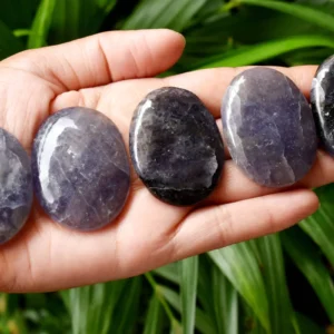 Wholesale Iolite Crystal Palm Stones Pocket Stones