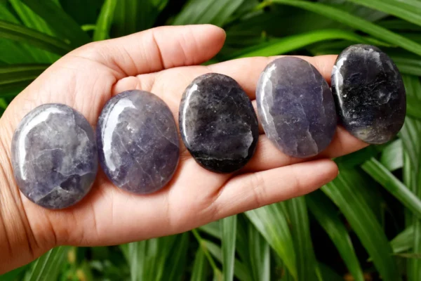 Wholesale Iolite Crystal Palm Stones Pocket Stones