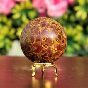 Wholesale Natural Crystal Fossile Coral jasper Gemstone Spheres