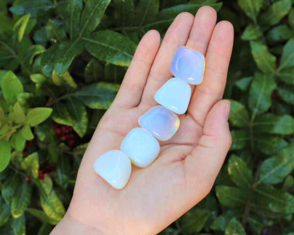 Wholesale Opalite Flat Stone Palm Stone (1 Bunch of 50 Pieces)